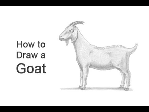 One single line drawing funny cute goat head Vector Image
