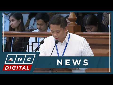Defense: VP Sara committed no impeachable offens; she simply said 'Enough is enough' | ANC