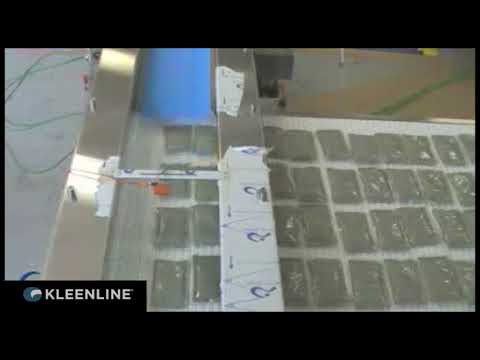 Infeed Shuttle Array Positioning & Feeding System thumbnail