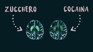 Lo Zucchero - Più Pericoloso Di Quanto Pensi. Ecco Perchè Silverbrain