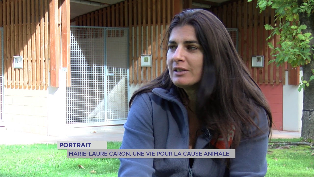 Portrait Une Vie Pour La Cause Animale Youtube Portrait Une Vie Pour La Cause Animale Youtube