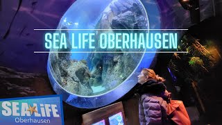 Sea Life Oberhausen | Rundgang zwischen Ottern, Haien und Schwärmen von Fischen | Vlog 2023