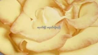 Video thumbnail of "အဝါရောင်ညနေခင်းများ (Feat. Aww Gyi)"