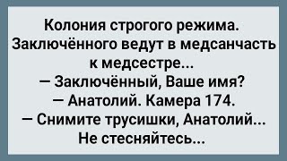 Заключенный с Большим Хозяйством! Сборник Свежих Анекдотов! Юмор!