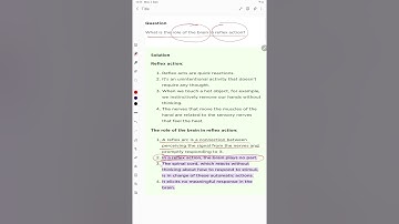 What is the role of the brain in reflex action?