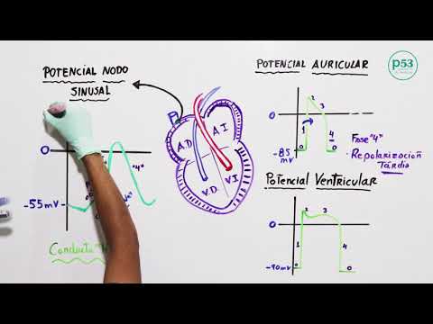 Video: ¿Cuándo se alcanza el umbral en el nodo sa?