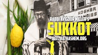Sukkot Custom of Rabbi Avigdor Miller ztl