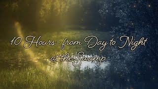 🎧 From Day to Night at the Swamp with Birds, Crickets, Grasshoppers and Frogs Singing - 10 Hours by Relax Sleep ASMR 21,725 views 2 years ago 10 hours