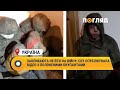 Закликають не йти на війну: СБУ опублікувала відео з  полоненими окупантами