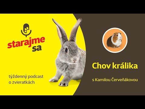 Video: Starostlivosť O Králiky: Sady Prvej Pomoci Pre Vášho Králika