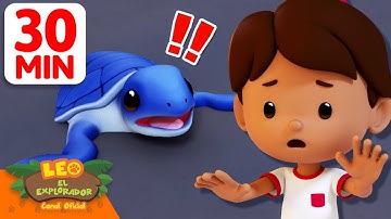 ¡Ayuda a las crías de tortuga marina a cruzar la playa! 🐢 | 30 Min | Leo, El Explorador | Animación