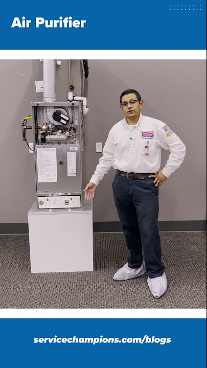 air purifier service