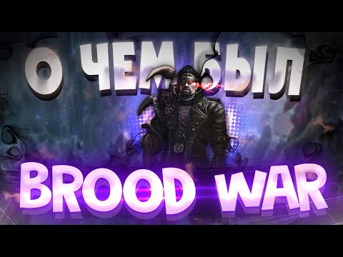 Видео: О чём был Starcraft: Brood War
