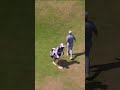 Sam Burns goes LOW with an 8-under 62 😳🔥