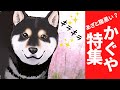【あざと腹黒い？】かぐやちゃん特集【アニメ】【漫画】【世界の終わりに柴犬と】