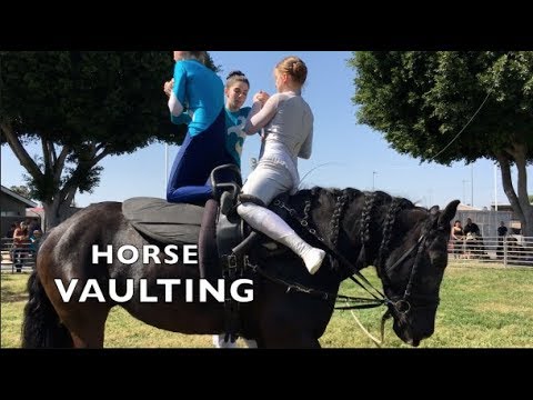 fun-things-to-do-on-horses:-horse-vaulting