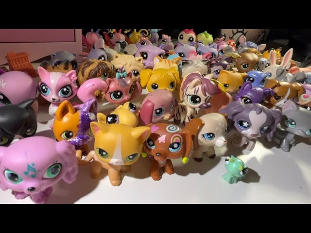 LPS G7 Blind Box Guide : r/LittlestPetShop