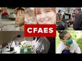 Cfaes our story