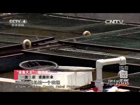 20150719 流行无限 “金鱼大王”徐立才