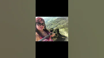 Shorts Travel Views Viral Behumble Staymotivated 