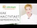 ⚤ Какие процессы влияют на успешное зачатие и вынашивание ребенка. Успешное зачатие ребенка.12+