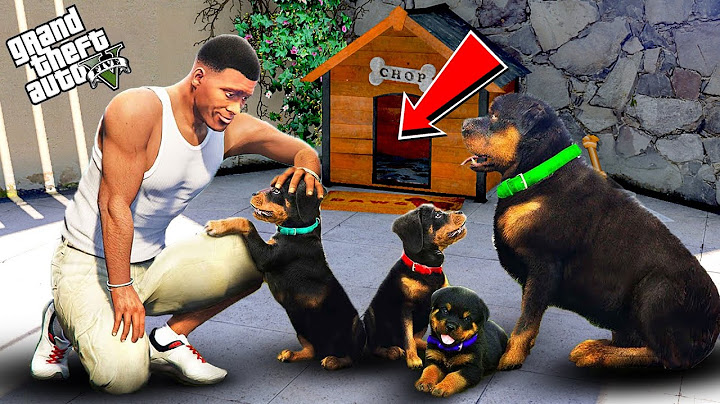 Franklin & Shinchan Found Chop Secret Puppies In GTA 5 || CHOP Had PUPPIES In GTA 5