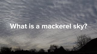 Download Lagu The Mackerel Sky: A Fascinating Cloud Pattern