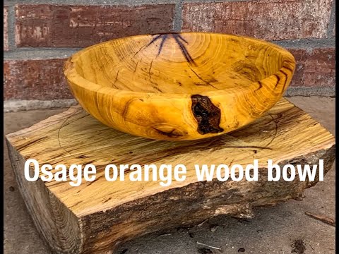 Video: Osage Orange'i pügamine – kuidas pügada Orange'i apelsini elava tarana
