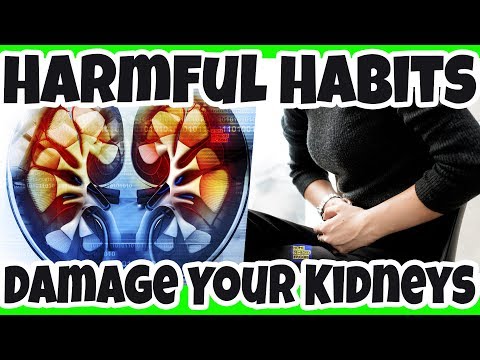 bad-daily-behaviors-that-damage-your-kidneys---prevent-chronic-kidney-disease-by-stop-these-habits