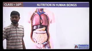 Nutrition In Human Beings Manmit Sir Chanakya Classes.