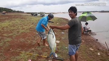 Cần thủ Bà Rịa trúng lớn tại đập Đá Bàng