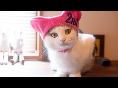 みり２。-Miri 2.-