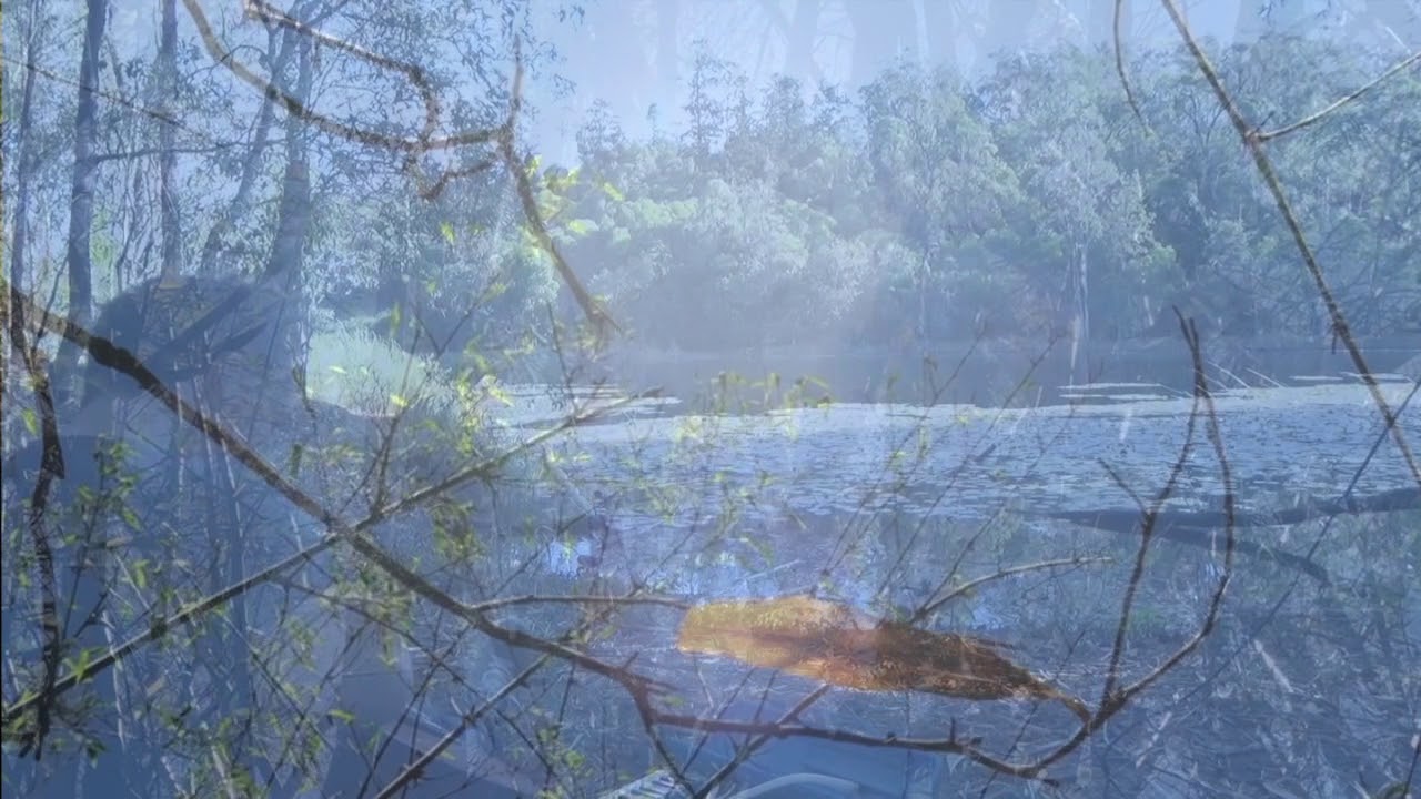 Primitive Motion - Airy Domain