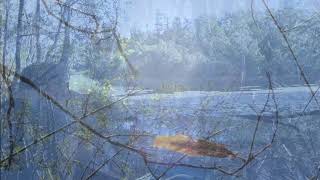 Primitive Motion - Airy Domain