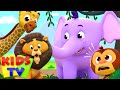 ABC Song | Five Little Monkeys | Baby Shark & More Children Songs | Nursery Rhymes - Kids Tv