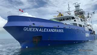 ❗TUNA FISHING VESSEL ❗FV QUEEN ALEXANDRA 959 | PURSE SEINE | KAPAL JARING BESAR |