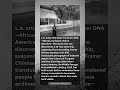 Toni Scott's DNA Bloodlines: A24-Foot Slave Ship Built From 500 Faces—Suspended, Blue, Unforgettable
