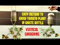 Easy Way To Grow Tomato Plant in Plastic Hanging Bottle| Vertical Gardening