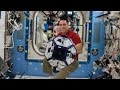 Fluid Dynamics in Space