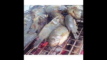 cá-rô-đồng-nướng-than- thơm- phức.