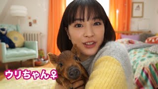 広瀬すずがYouTuberに!相棒のウリボーにメロメロ WEB 動画「フジカラーの写真年賀状つくってみた」篇&メイキング&インタビュー 広瀬すず 検索動画1 広瀬すずがYouTuberに!相棒のウリボーにメロメロ WEB 動画「フジカラーの写真年賀状つくってみた」篇&メイキング&インタビュー 広瀬すず 検索動画 1