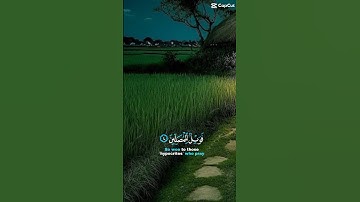 قران كريم راحة نفسية #ايات_قرانيه_قصيره #قران_كريم #راحة_نفسية #foryou #viral #quran