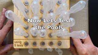 Simple Pooling 1 - MathHappens Foundation