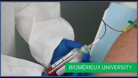 BACT/ALERT®:  Blood Culture Collection: Winged Set Method