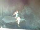 Lara - cotton eye joe