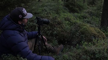 Intelligent forest - Making of