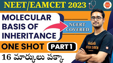 Molecular Basis of Inheritance - One Shot (Part 1) | NEET 2023 | EAMCET 2024 | Biology | Ajay sir