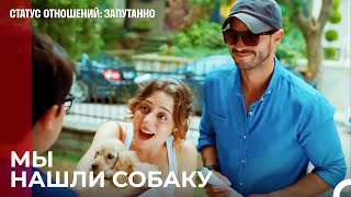 Мы не похищаем собаку - Статус отношений: Запутанно 37 Серия