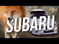 Subabubu