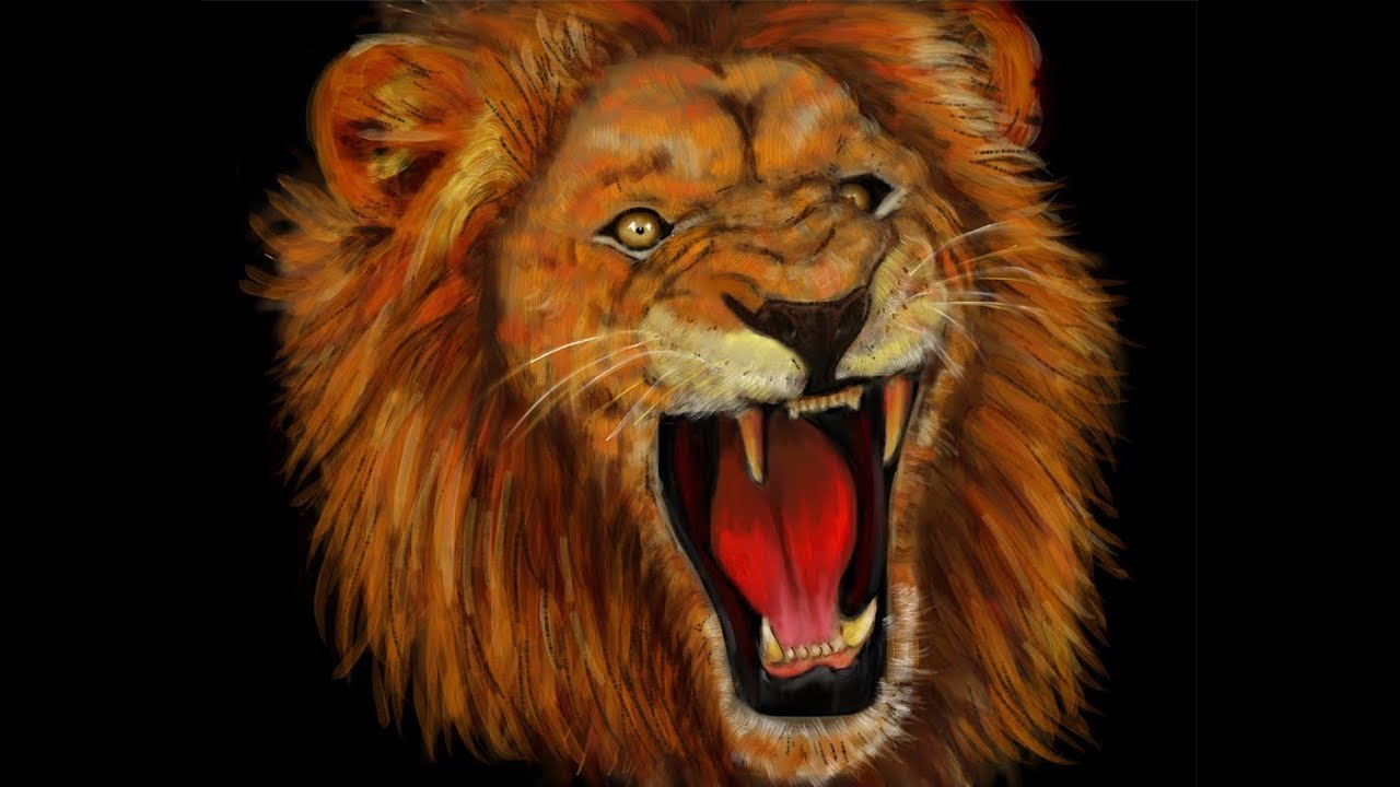 speed art lion drawing painted using ipad 39 s sketchbook pro drawing on ipad pro